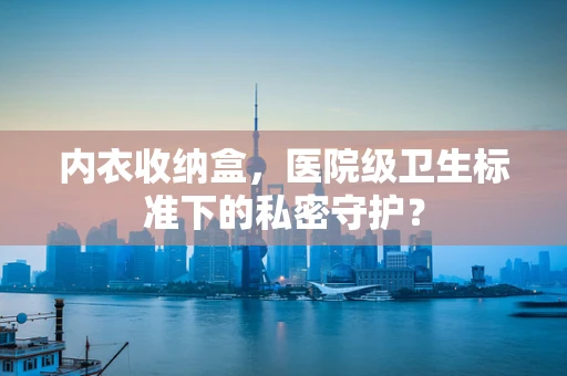 内衣收纳盒，医院级卫生标准下的私密守护？