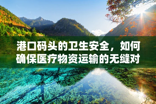 港口码头的卫生安全，如何确保医疗物资运输的无缝对接？
