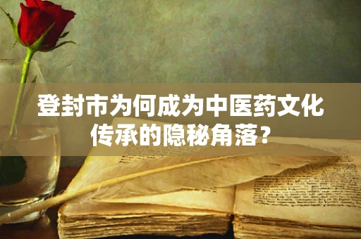 登封市为何成为中医药文化传承的隐秘角落？