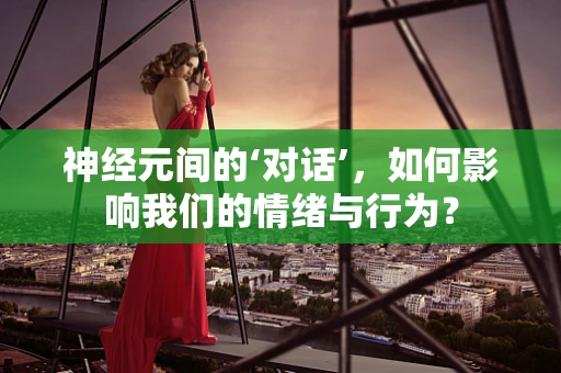 神经元间的‘对话’，如何影响我们的情绪与行为？