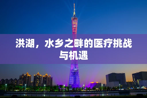 洪湖，水乡之畔的医疗挑战与机遇