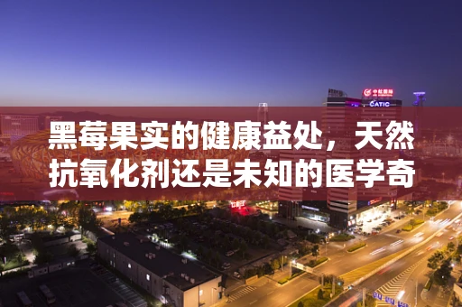 黑莓果实的健康益处，天然抗氧化剂还是未知的医学奇迹？