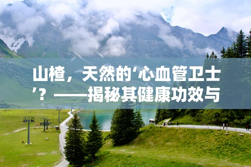 山楂，天然的‘心血管卫士’？——揭秘其健康功效与食用禁忌