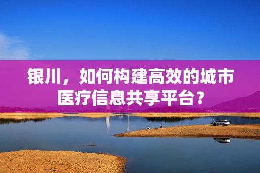 银川，如何构建高效的城市医疗信息共享平台？