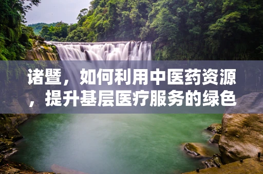 诸暨，如何利用中医药资源，提升基层医疗服务的绿色效能？