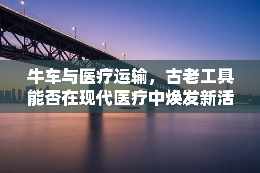 牛车与医疗运输，古老工具能否在现代医疗中焕发新活力？