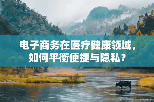 电子商务在医疗健康领域，如何平衡便捷与隐私？