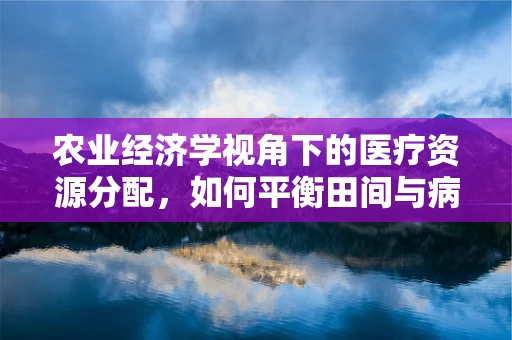 农业经济学视角下的医疗资源分配，如何平衡田间与病房的投入？