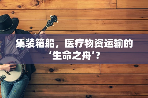 集装箱船，医疗物资运输的‘生命之舟’？