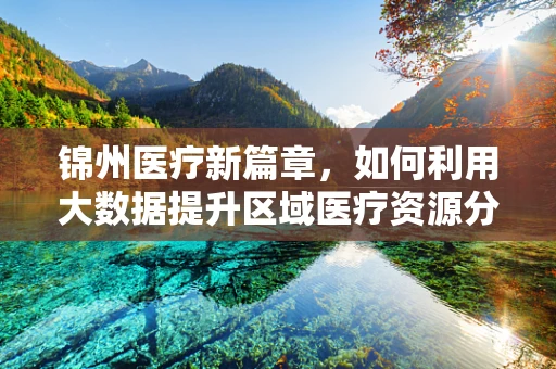 锦州医疗新篇章，如何利用大数据提升区域医疗资源分配效率？