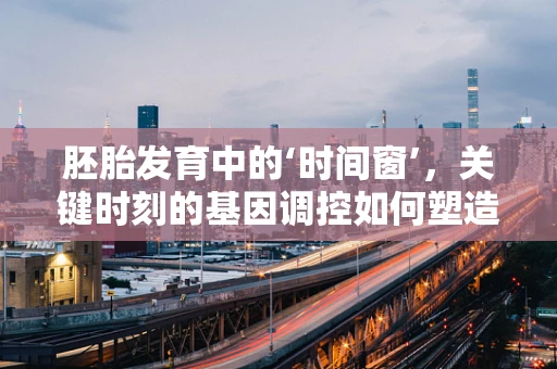 胚胎发育中的‘时间窗’，关键时刻的基因调控如何塑造生命？