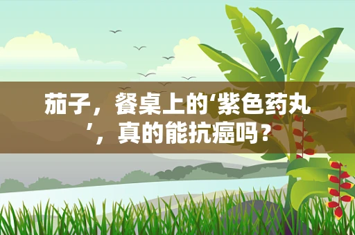 茄子，餐桌上的‘紫色药丸’，真的能抗癌吗？
