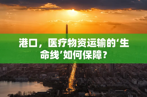 港口，医疗物资运输的‘生命线’如何保障？