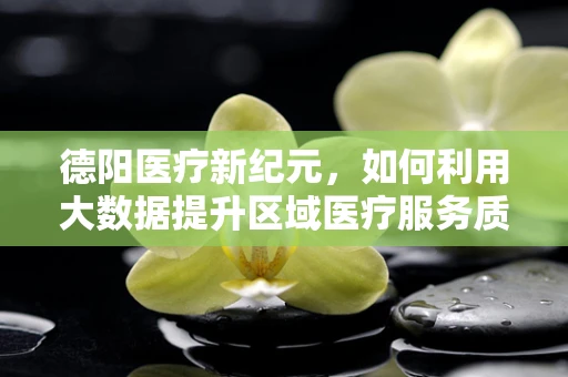 德阳医疗新纪元，如何利用大数据提升区域医疗服务质量？