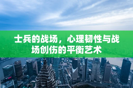 士兵的战场，心理韧性与战场创伤的平衡艺术