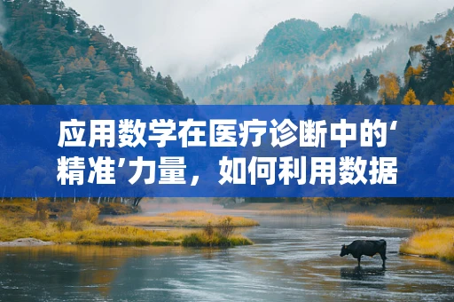 应用数学在医疗诊断中的‘精准’力量，如何利用数据分析优化诊断流程？