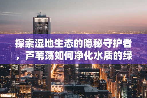 探索湿地生态的隐秘守护者，芦苇荡如何净化水质的绿色奇迹？