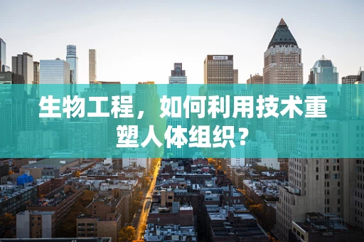 生物工程，如何利用技术重塑人体组织？