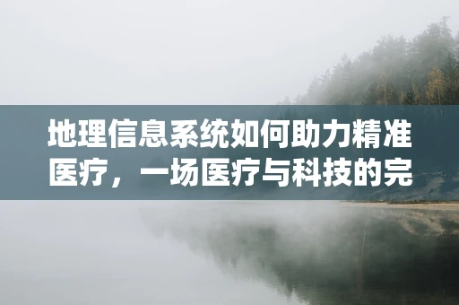 地理信息系统如何助力精准医疗，一场医疗与科技的完美邂逅？