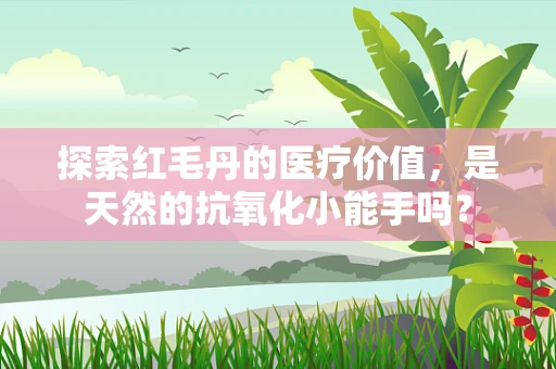 探索红毛丹的医疗价值，是天然的抗氧化小能手吗？