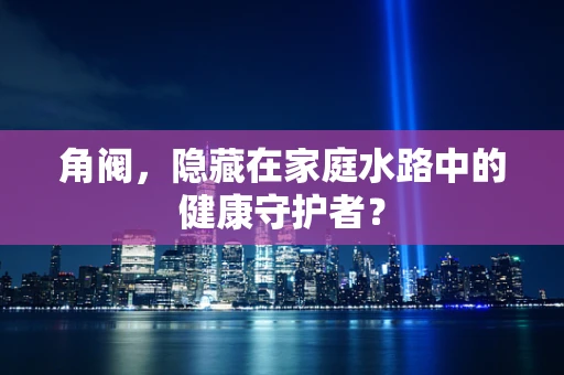 角阀，隐藏在家庭水路中的健康守护者？