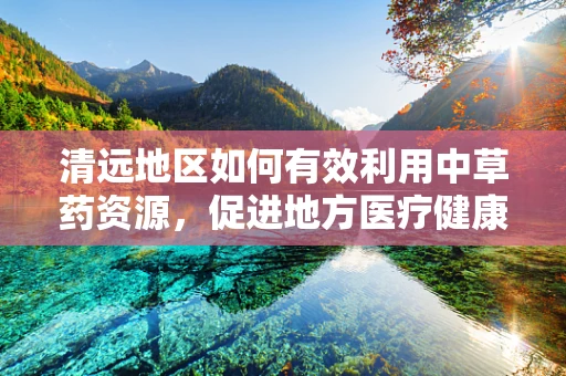 清远地区如何有效利用中草药资源，促进地方医疗健康？