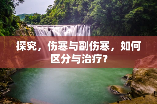 探究，伤寒与副伤寒，如何区分与治疗？