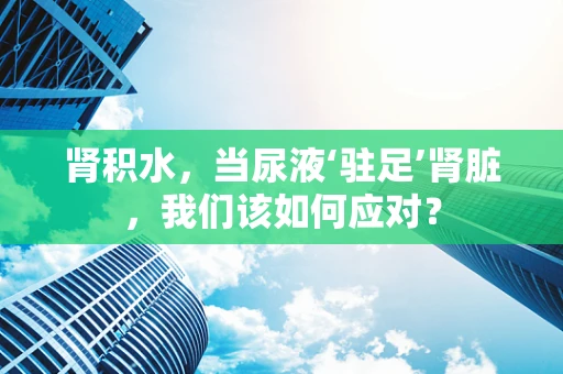 肾积水，当尿液‘驻足’肾脏，我们该如何应对？