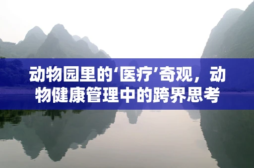 动物园里的‘医疗’奇观，动物健康管理中的跨界思考