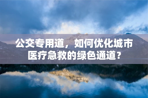公交专用道，如何优化城市医疗急救的绿色通道？