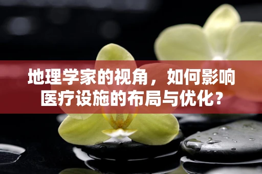 地理学家的视角，如何影响医疗设施的布局与优化？