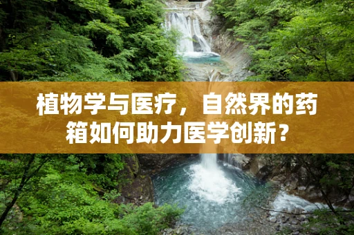 植物学与医疗，自然界的药箱如何助力医学创新？