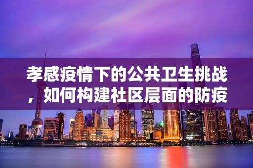 孝感疫情下的公共卫生挑战，如何构建社区层面的防疫屏障？