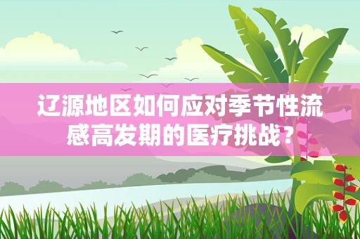 辽源地区如何应对季节性流感高发期的医疗挑战？