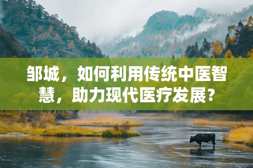 邹城，如何利用传统中医智慧，助力现代医疗发展？
