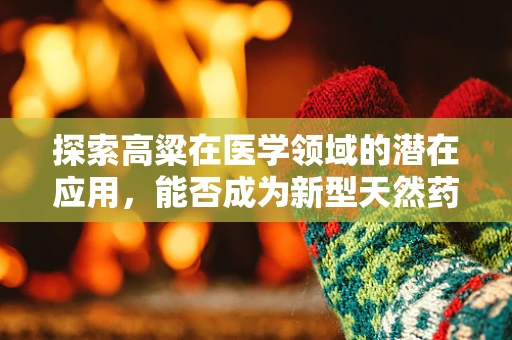 探索高粱在医学领域的潜在应用，能否成为新型天然药物？