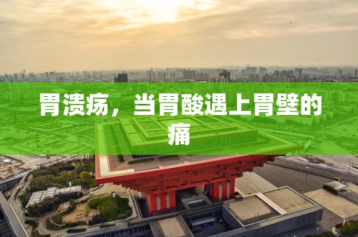 胃溃疡，当胃酸遇上胃壁的痛