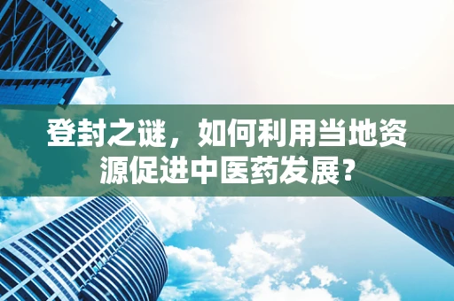 登封之谜，如何利用当地资源促进中医药发展？