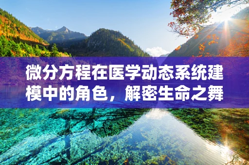 微分方程在医学动态系统建模中的角色，解密生命之舞