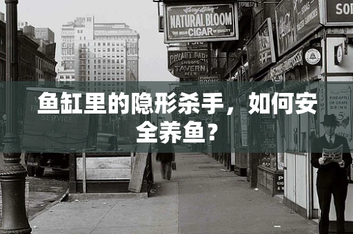 鱼缸里的隐形杀手，如何安全养鱼？