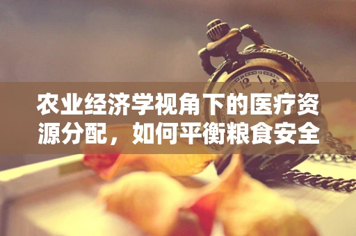 农业经济学视角下的医疗资源分配，如何平衡粮食安全与健康保障？