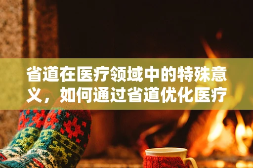 省道在医疗领域中的特殊意义，如何通过省道优化医疗资源分配？