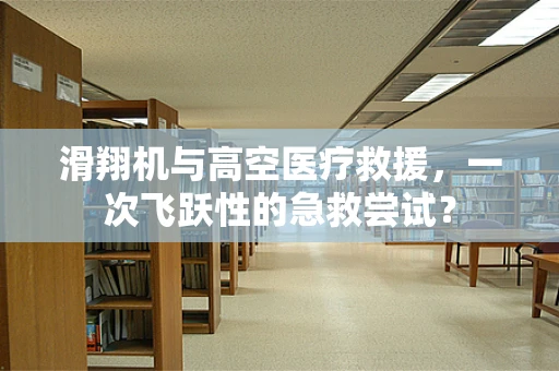 滑翔机与高空医疗救援，一次飞跃性的急救尝试？