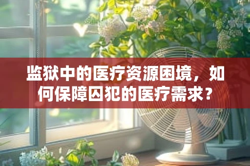 监狱中的医疗资源困境，如何保障囚犯的医疗需求？