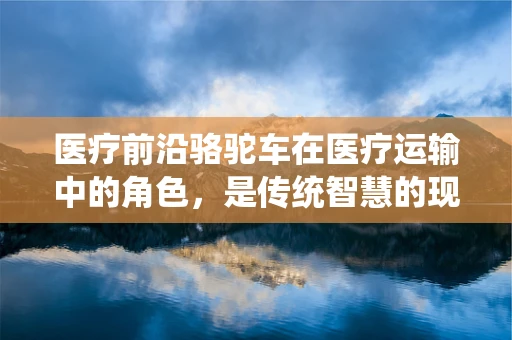 医疗前沿骆驼车在医疗运输中的角色，是传统智慧的现代应用，还是另类医疗创新的象征？