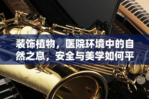 装饰植物，医院环境中的自然之息，安全与美学如何平衡？