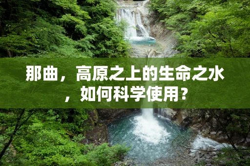 那曲，高原之上的生命之水，如何科学使用？
