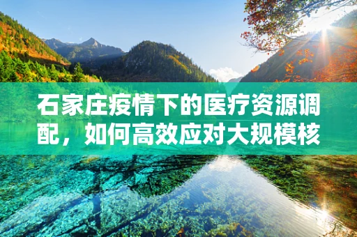 石家庄疫情下的医疗资源调配，如何高效应对大规模核酸检测挑战？