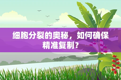 细胞分裂的奥秘，如何确保精准复制？
