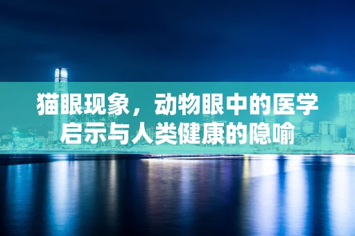 猫眼现象，动物眼中的医学启示与人类健康的隐喻